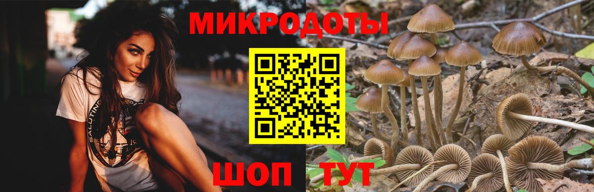 Галлюциногенные грибы Magic Shrooms  цена наркотик  Советск  Вход с VPN 